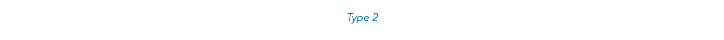 Type 2