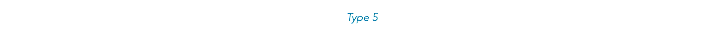 Type 5